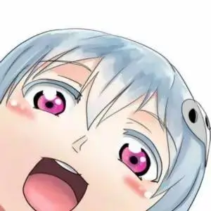 伙伴 雷恩